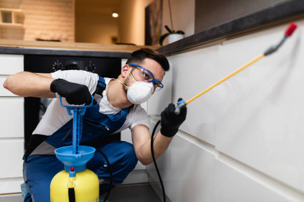 Best Mosquito Control Services  in Grenelefe, FL
