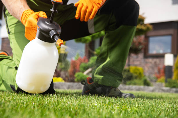 Best Bird Control  in Grenelefe, FL