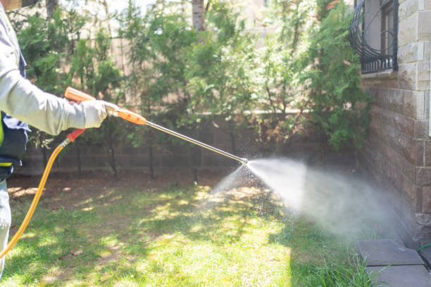 Bird Control in Grenelefe, FL