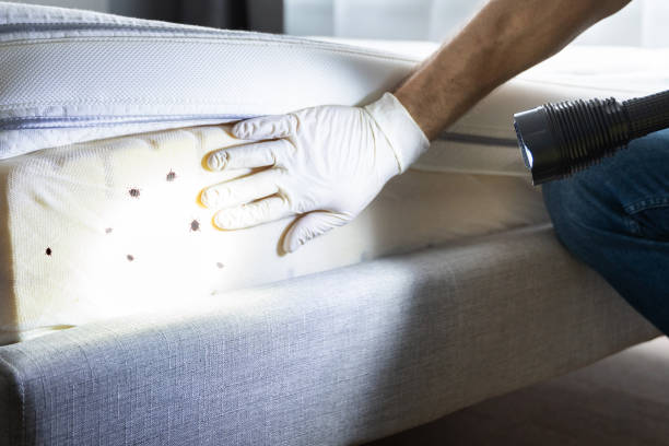 Best Pest Control Cost  in Grenelefe, FL