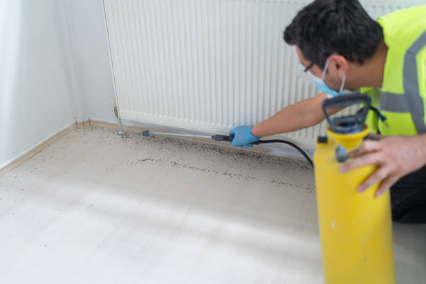 Best Wasp Removal Services  in Grenelefe, FL