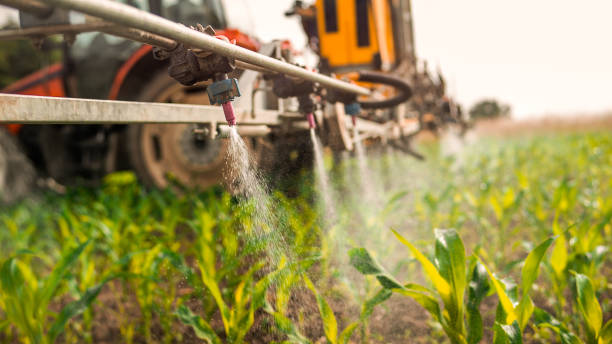Best Ant Control Services  in Grenelefe, FL